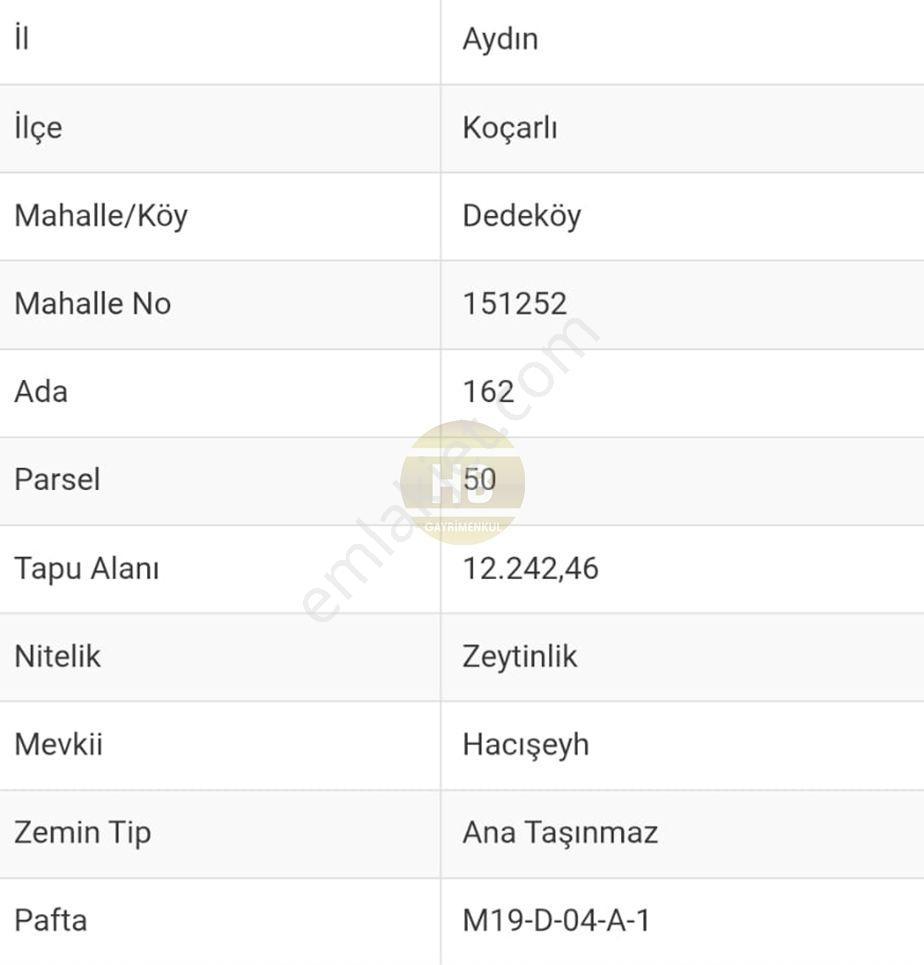 Hb'den Satılık Zeytinlik, Verimli Bölge/manzaralı/takas İmkanı - Görsel 11