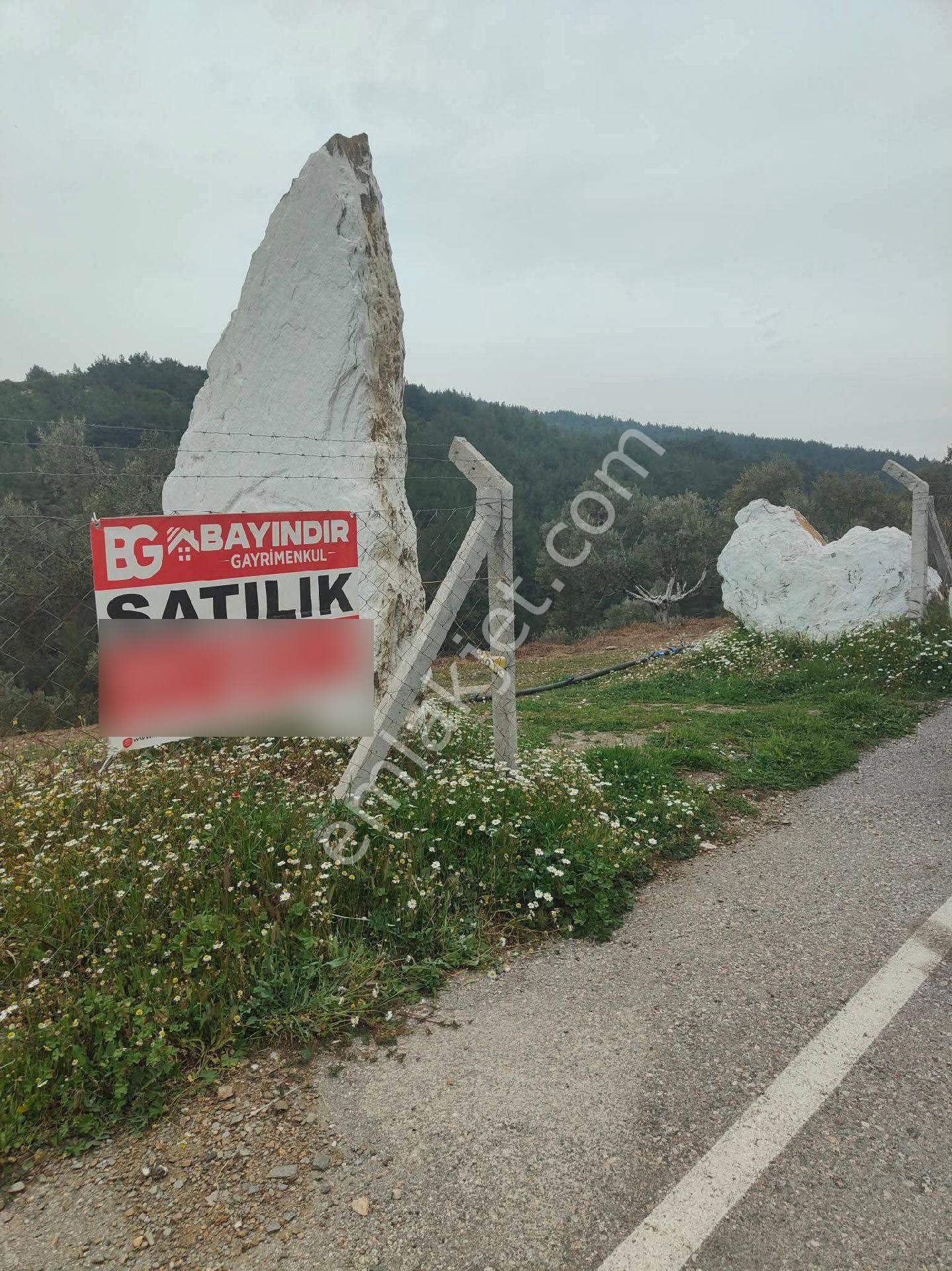 Bayındır Gayrimenkul - Kızılcıagac Mah Satılık Zeytinlik