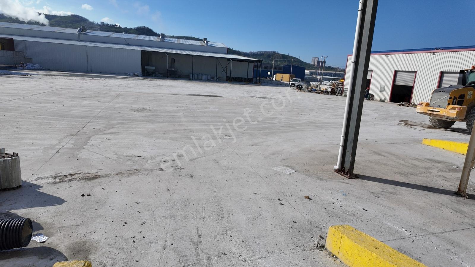 Fatsa Osb'de Bu Büyüklükte Tek! 4816 M² Kapalı Alanlı Fabrika - Görsel 21