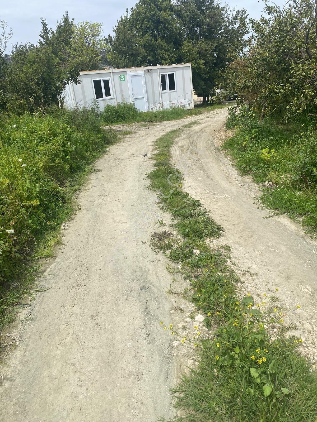 Thor'dan Satılık Hatay Samandağ'da Yaylıca Mevki Yatırımlık Arsa - Görsel 29