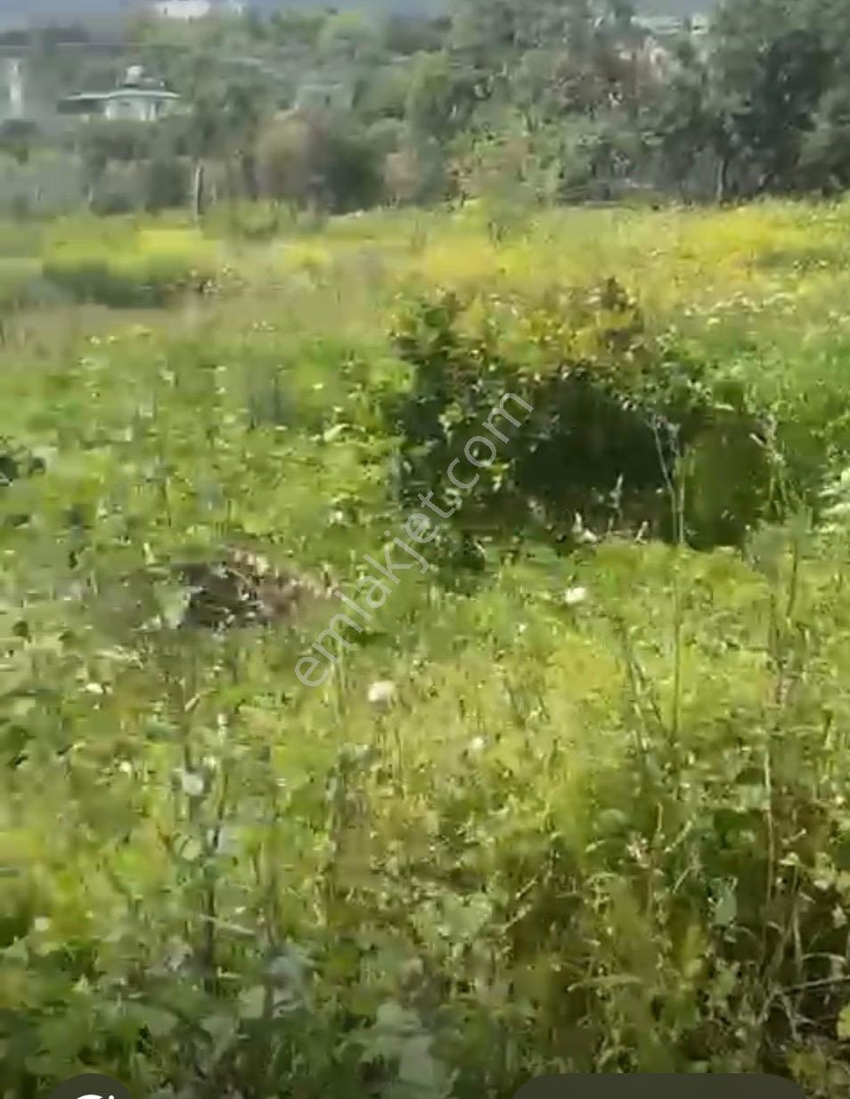 Thor'dan Satılık Hatay Samandağ'da Yaylıca Mevki Yatırımlık Arsa - Görsel 34