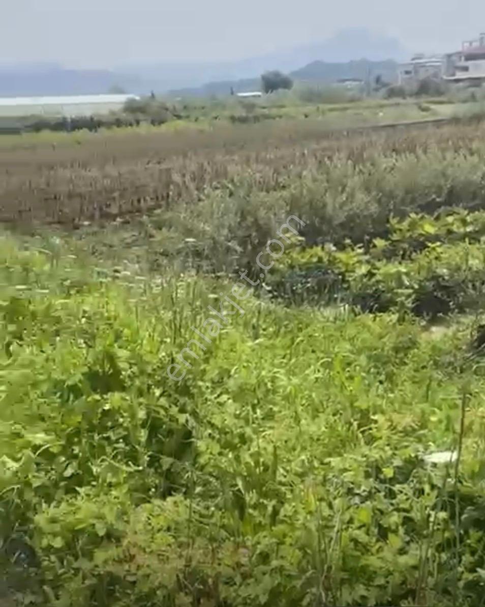 Thor'dan Satılık Hatay Samandağ'da Yaylıca Mevki Yatırımlık Arsa - Görsel 39