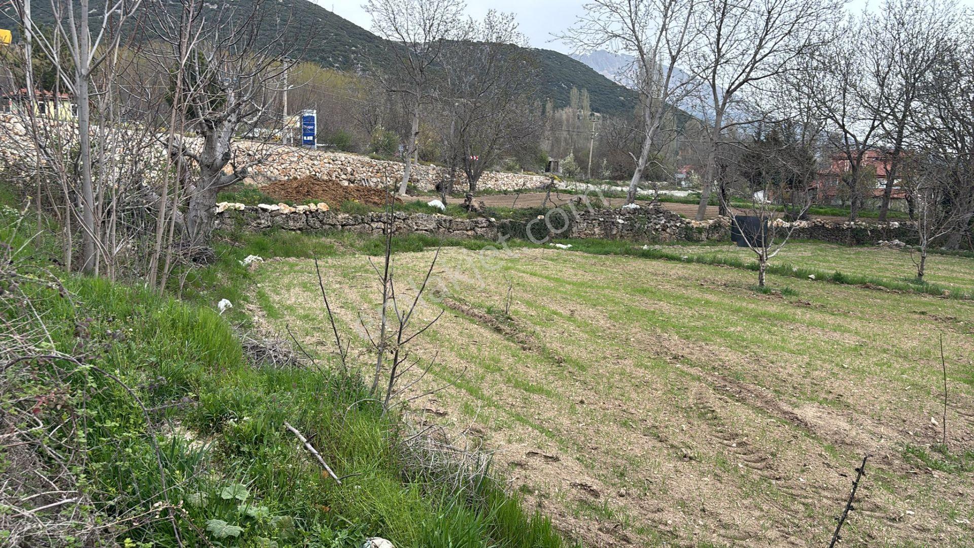 Yeşillikler Diyarı Suyun Cenneti Yeşilbaşköyde Satılık Arazi - Görsel 18