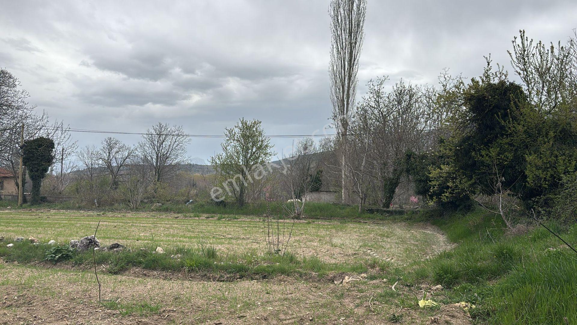 Yeşillikler Diyarı Suyun Cenneti Yeşilbaşköyde Satılık Arazi - Görsel 8