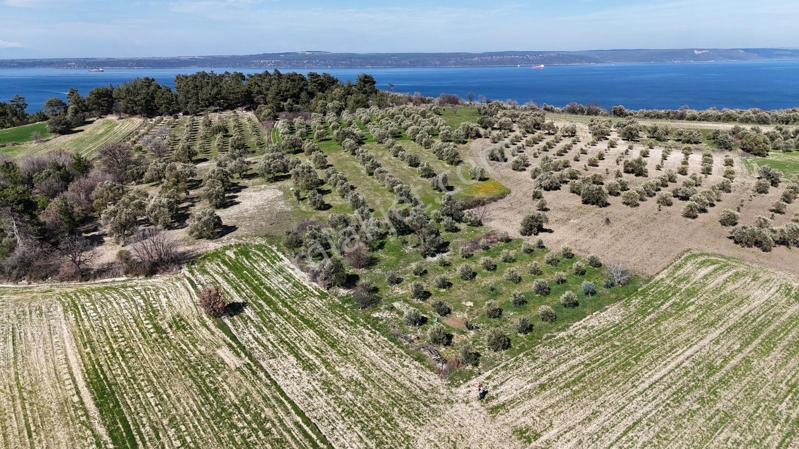 Çanakkale Merkez Erenköyde 980 M2 Tarla Erenköye Yakın - Görsel 20