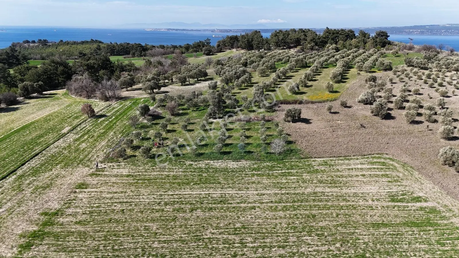 Çanakkale Merkez Erenköyde 980 M2 Tarla Erenköye Yakın - Görsel 9