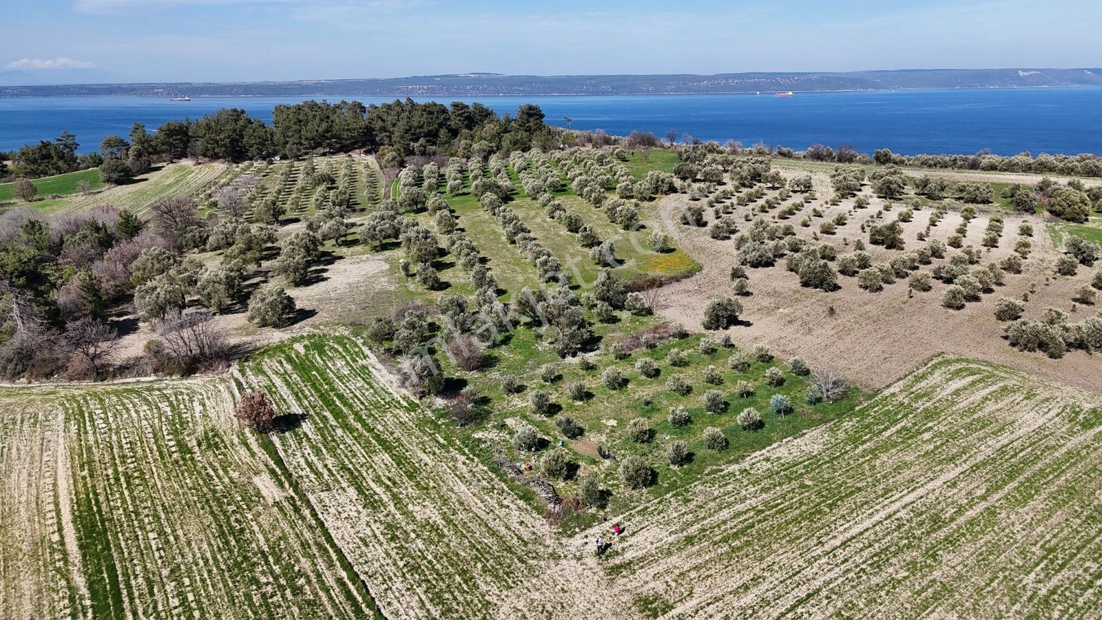 Çanakkale Merkez Erenköyde 980 M2 Tarla Erenköye Yakın - Görsel 23