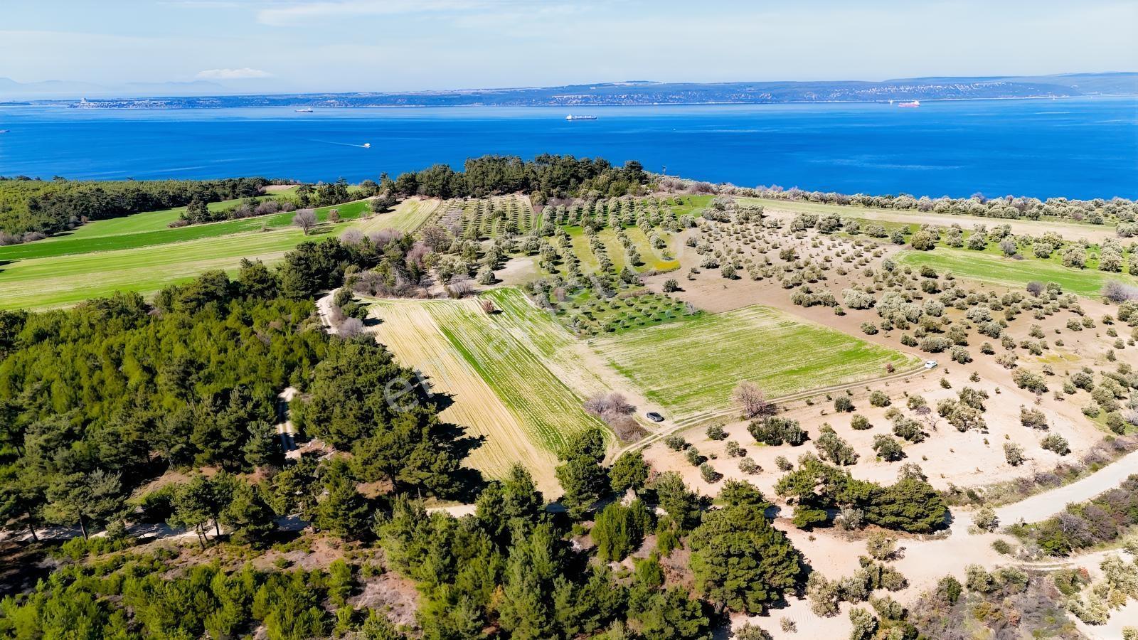 Çanakkale Merkez Erenköyde 980 M2 Tarla Erenköye Yakın - Görsel 5