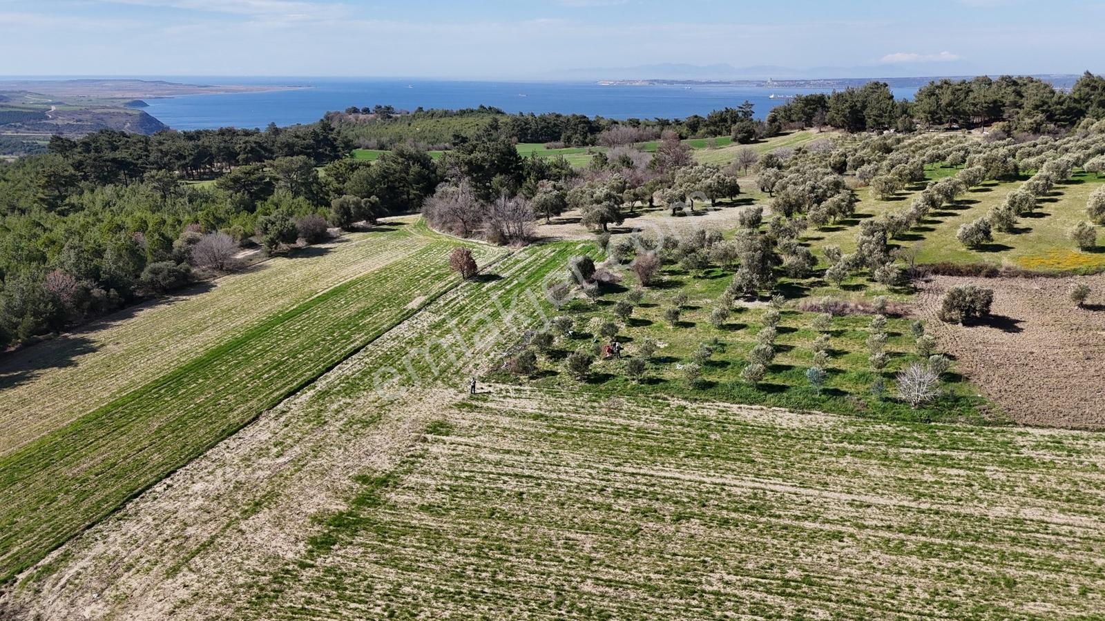 Çanakkale Merkez Erenköyde 980 M2 Tarla Erenköye Yakın - Görsel 13