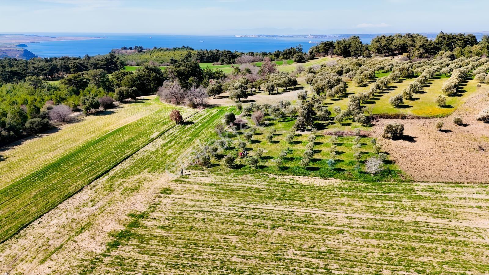 Çanakkale Merkez Erenköyde 980 M2 Tarla Erenköye Yakın - Görsel 12