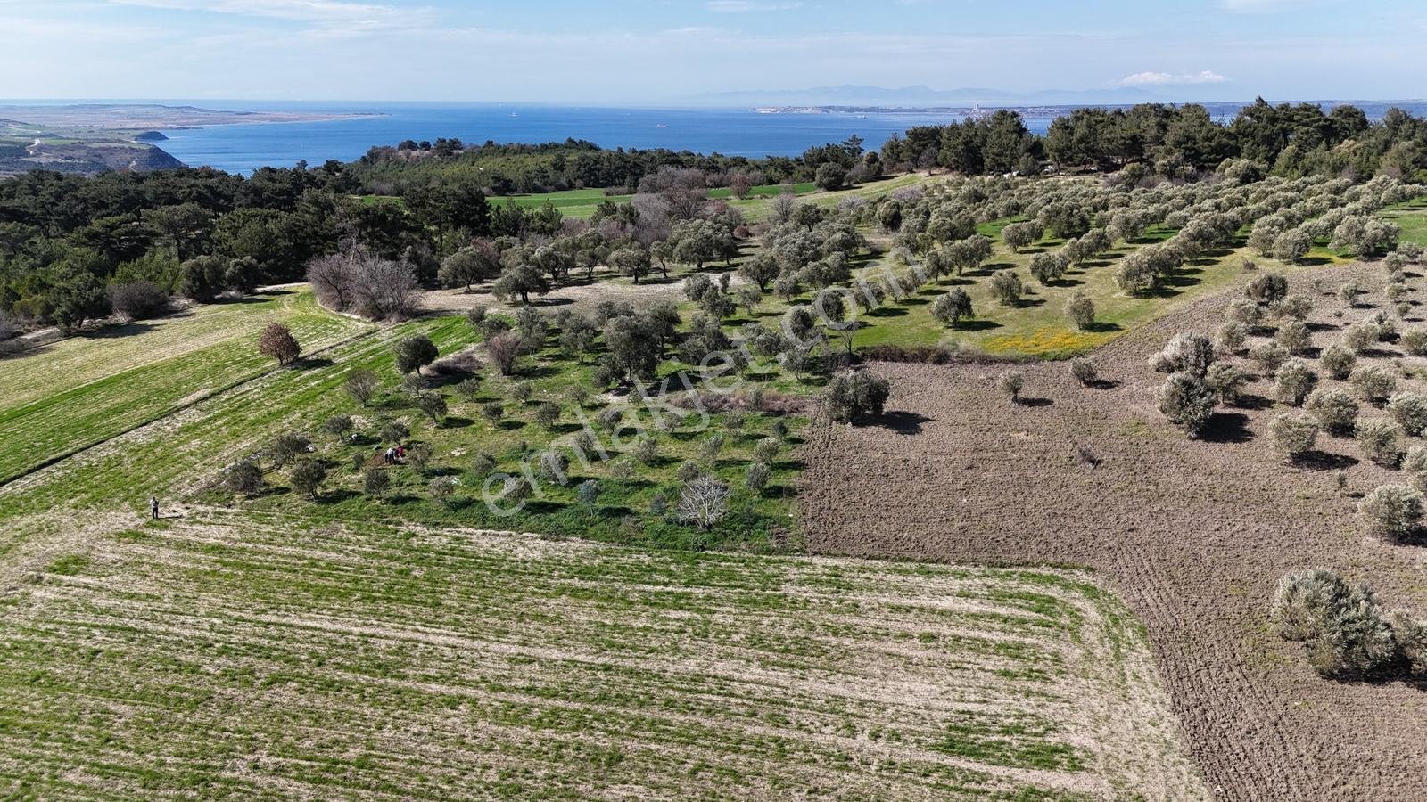 Çanakkale Merkez Erenköyde 980 M2 Tarla Erenköye Yakın - Görsel 15