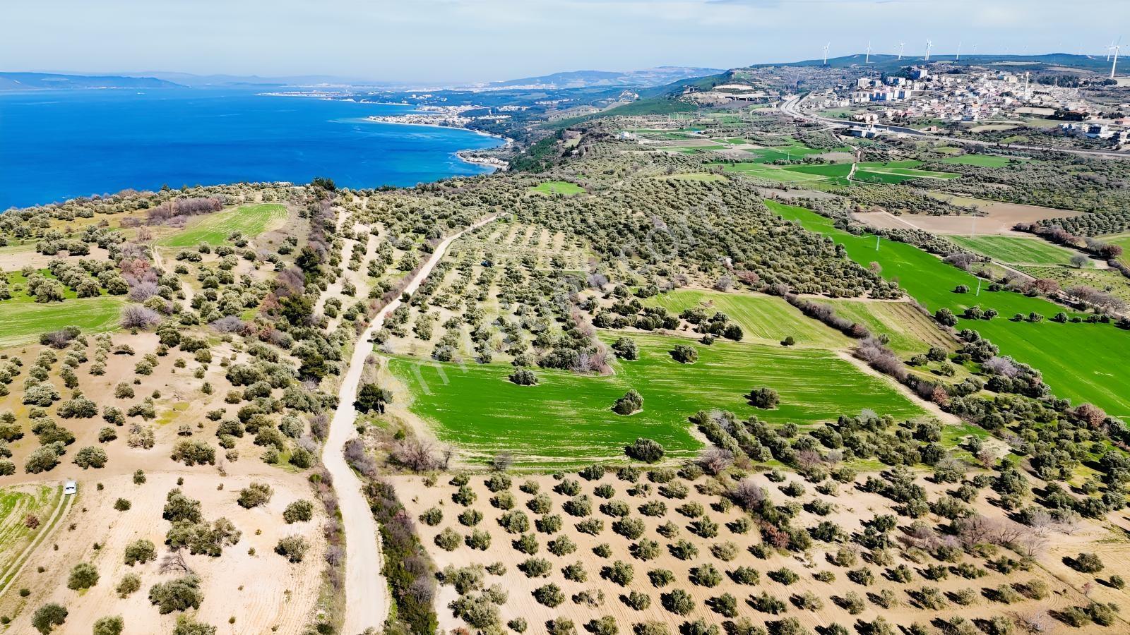 Çanakkale Merkez Erenköyde 980 M2 Tarla Erenköye Yakın - Görsel 6