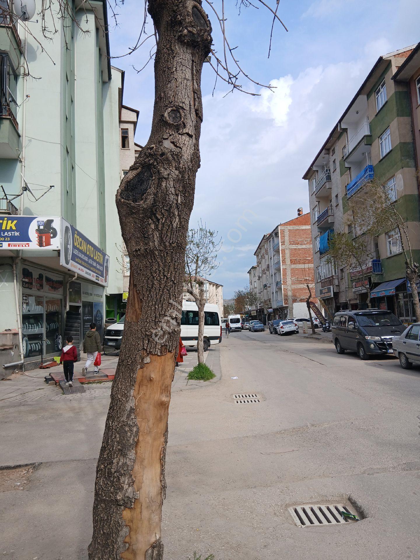 Sanayi Mh Naturel Gayrimenkul Dan - Görsel 2
