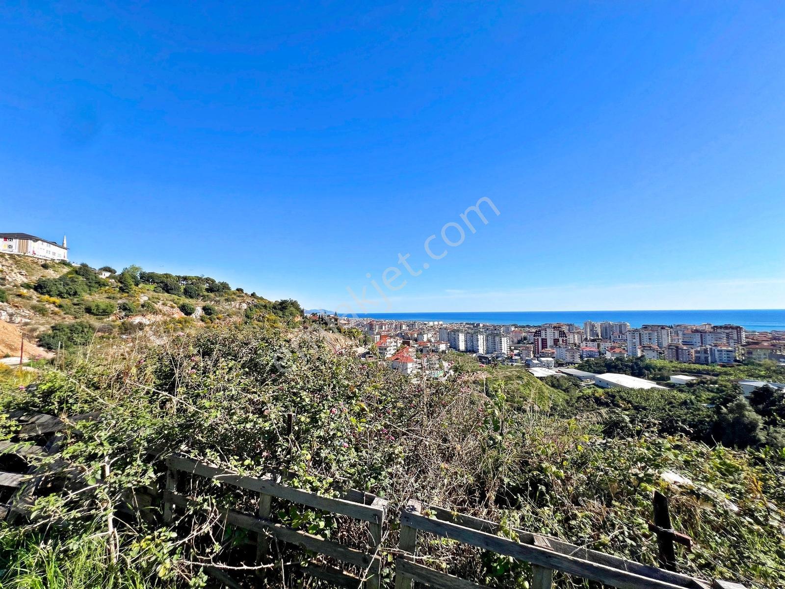 Alanya Cikcillide Satılık 1.425 M2 Deniz Ve Kale Manzaralı Arsa - Görsel 29