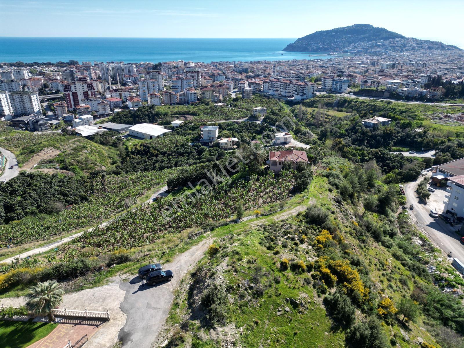 Alanya Cikcillide Satılık 1.425 M2 Deniz Ve Kale Manzaralı Arsa