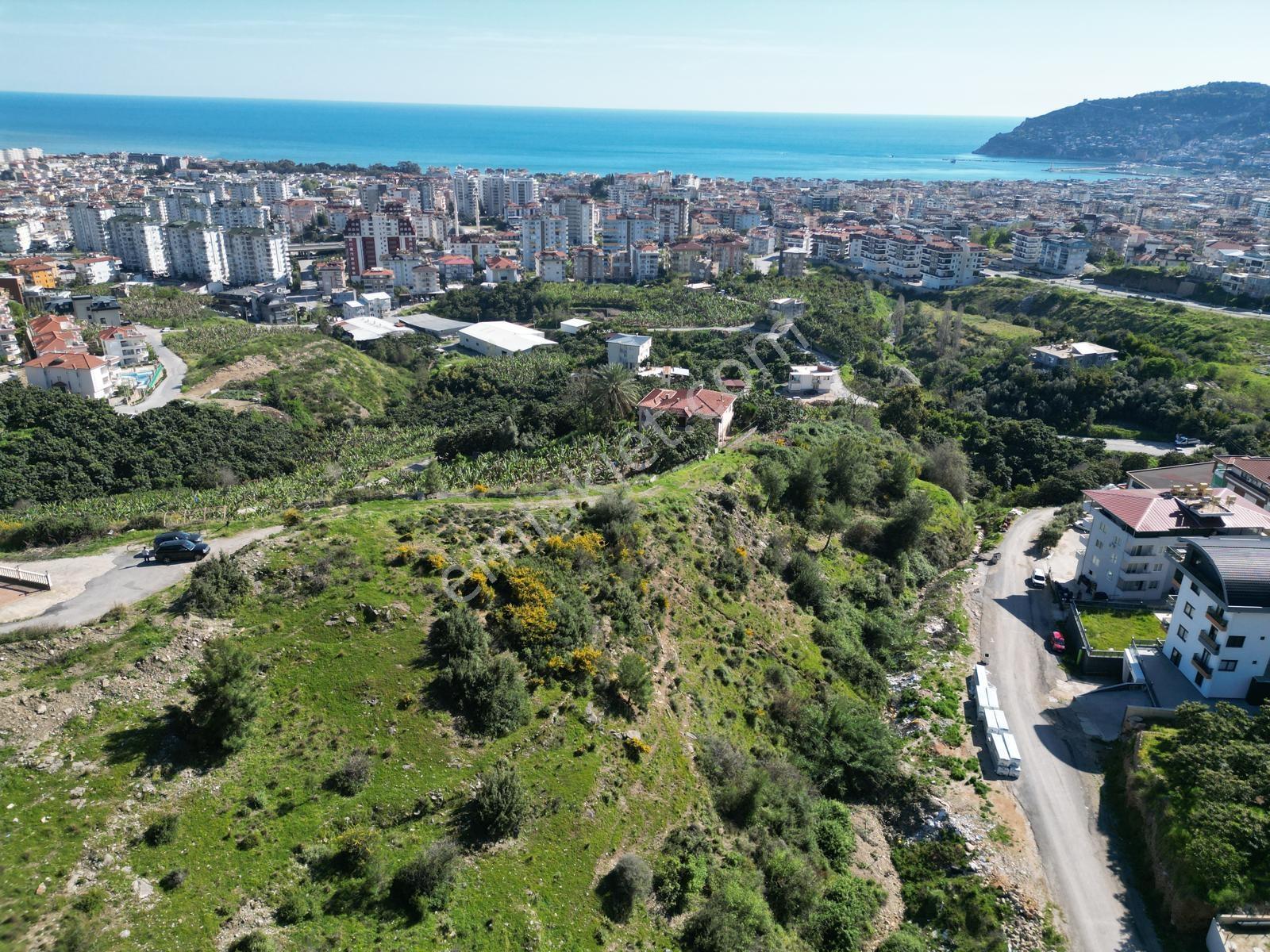 Alanya Cikcillide Satılık 1.425 M2 Deniz Ve Kale Manzaralı Arsa - Görsel 31