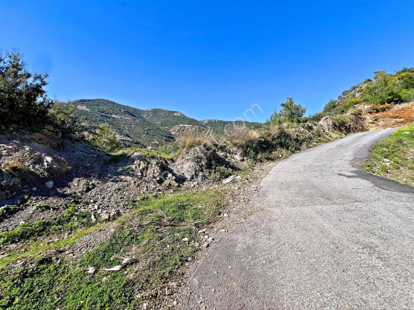 Alanya Cikcillide Satılık 1.425 M2 Deniz Ve Kale Manzaralı Arsa - Görsel 13