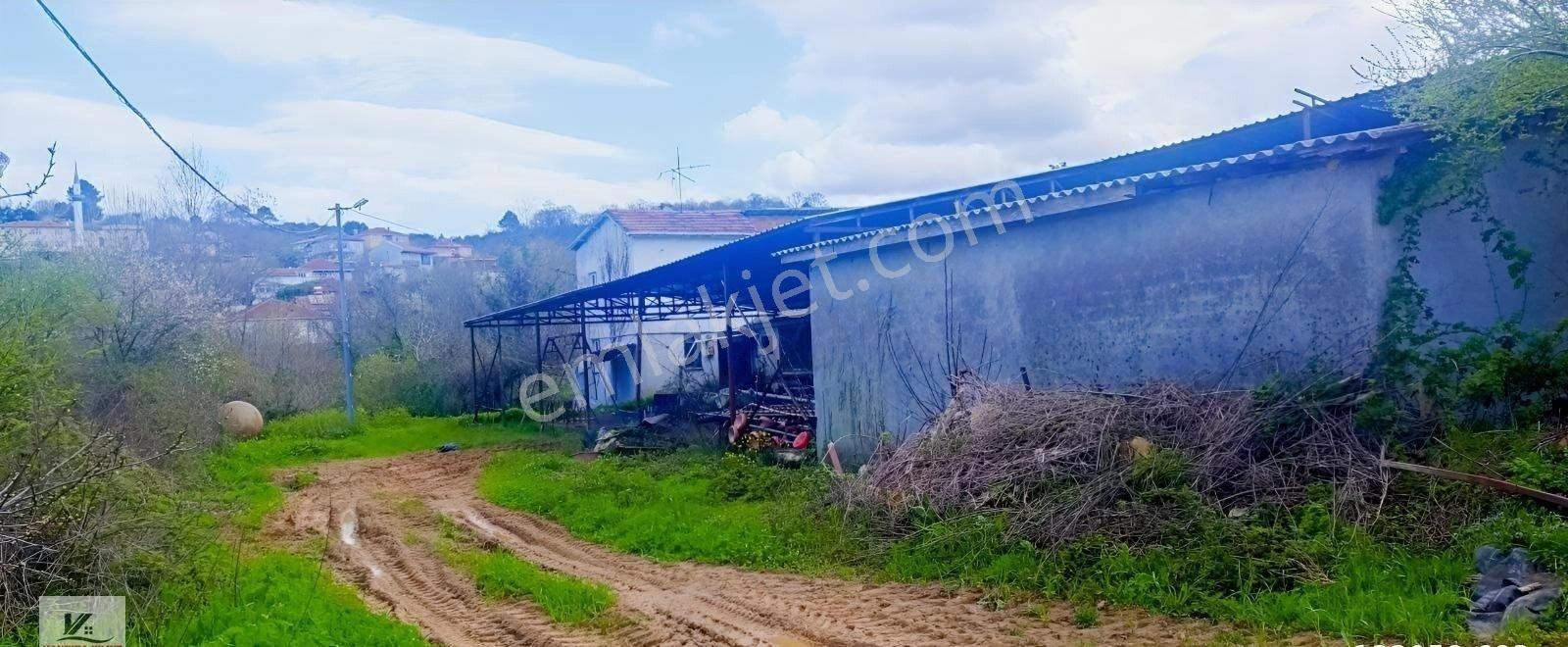 İstanbul Şile Ağva Bucaklı Da 2018 M2 Arazide 800 M2 Kapalı Alan - Görsel 15
