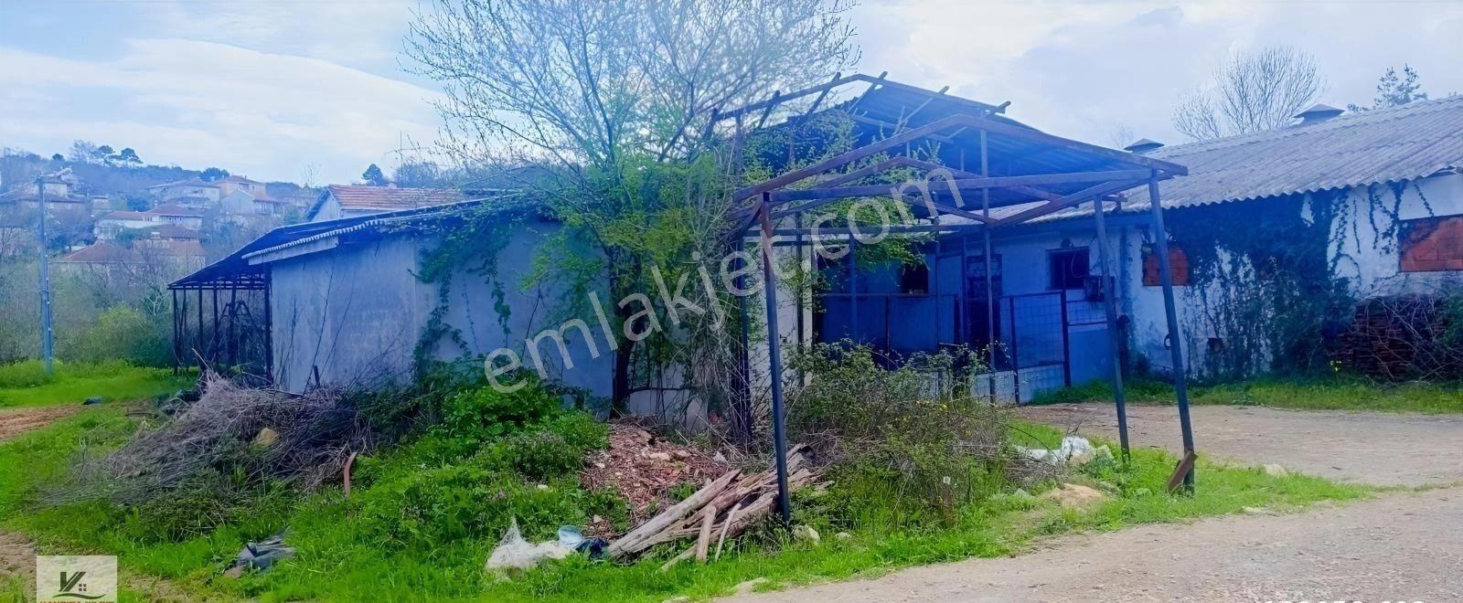 İstanbul Şile Ağva Bucaklı Da 2018 M2 Arazide 800 M2 Kapalı Alan - Görsel 3