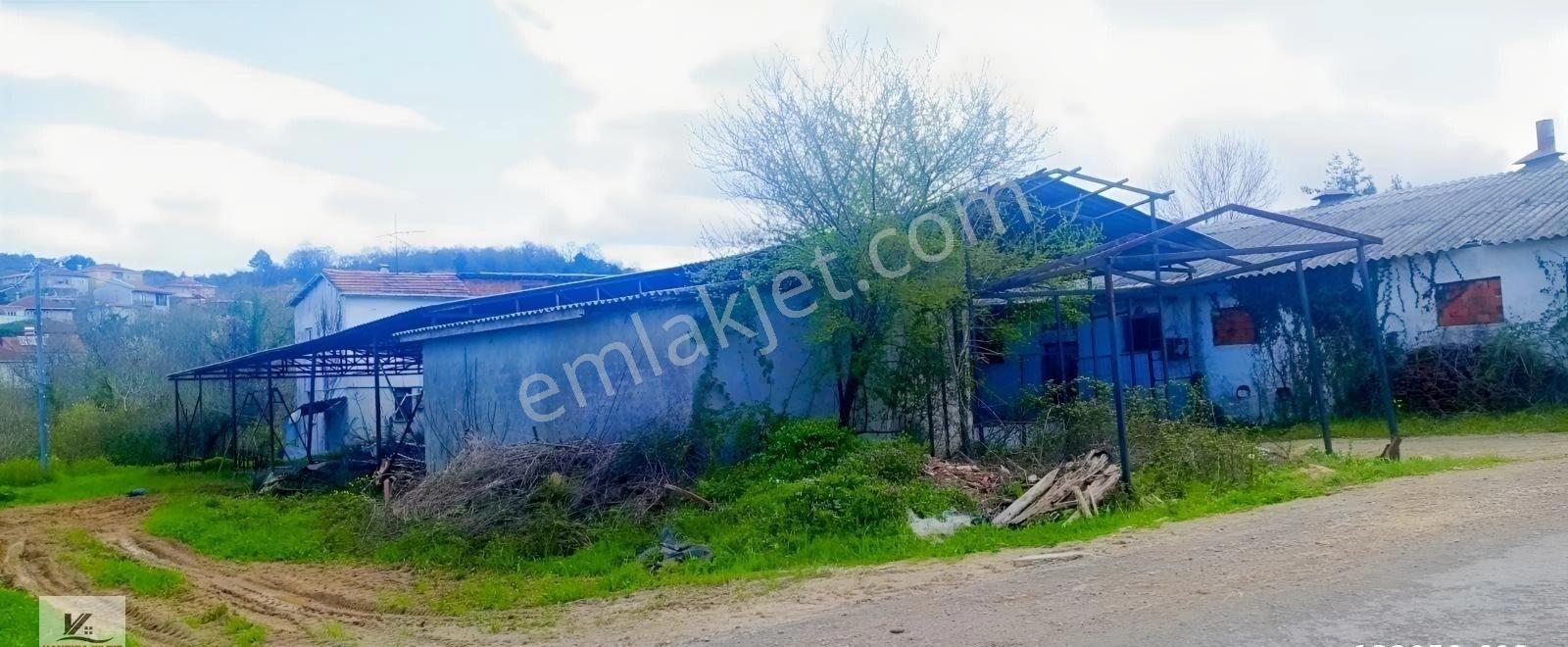 İstanbul Şile Ağva Bucaklı Da 2018 M2 Arazide 800 M2 Kapalı Alan - Görsel 19