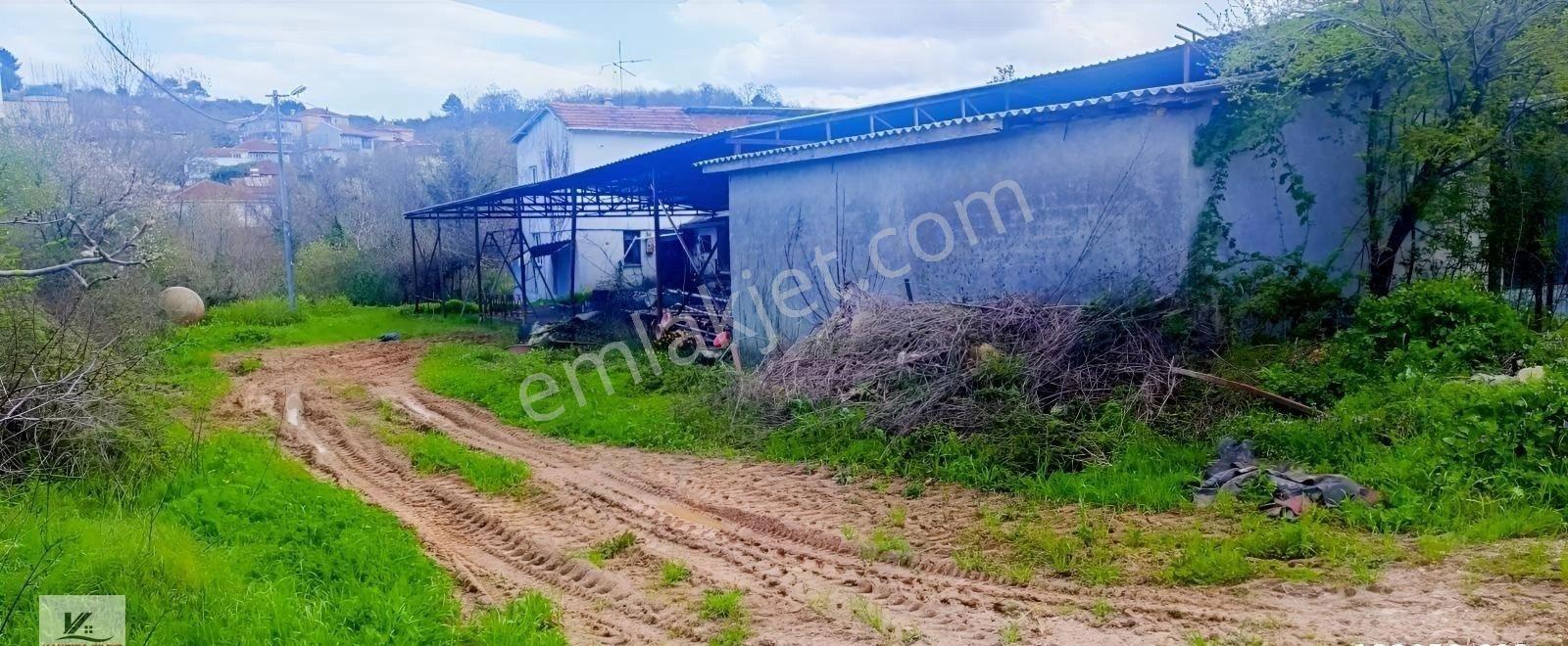 İstanbul Şile Ağva Bucaklı Da 2018 M2 Arazide 800 M2 Kapalı Alan - Görsel 16