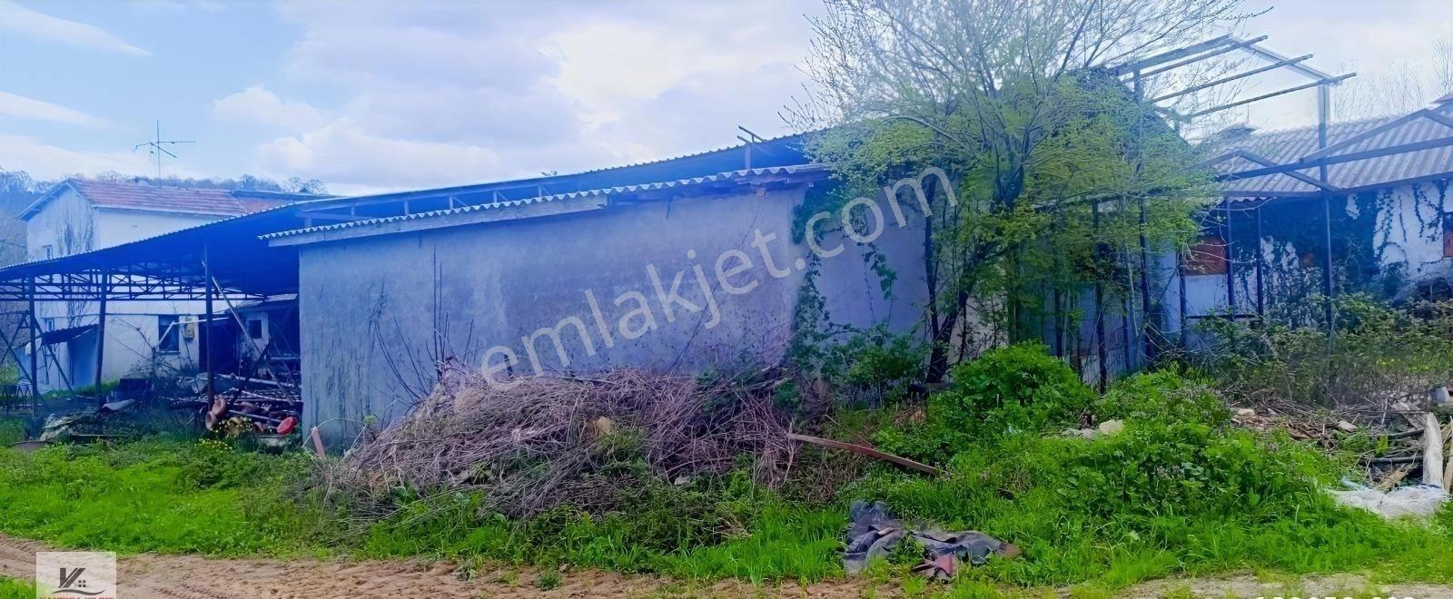 İstanbul Şile Ağva Bucaklı Da 2018 M2 Arazide 800 M2 Kapalı Alan - Görsel 8