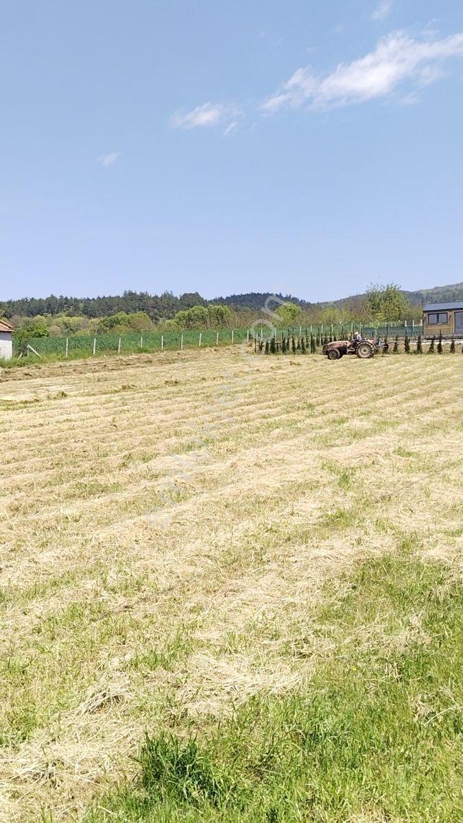 Satılık Köy İmarlı Arsa (inegöl) - Görsel 22