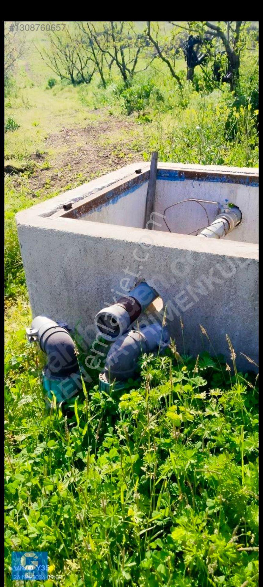 Satılık Meyve Bahçesi (inegöl) 430 Adet Yetişkin Meyve Ağaçları - Görsel 31