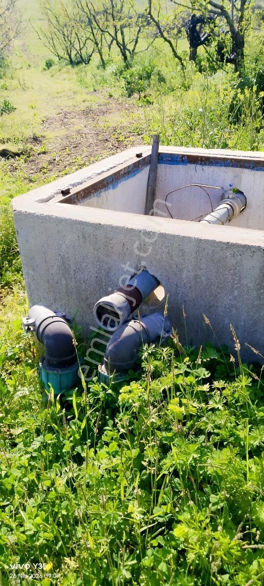 Satılık Meyve Bahçesi (inegöl) 430 Adet Yetişkin Meyve Ağaçları