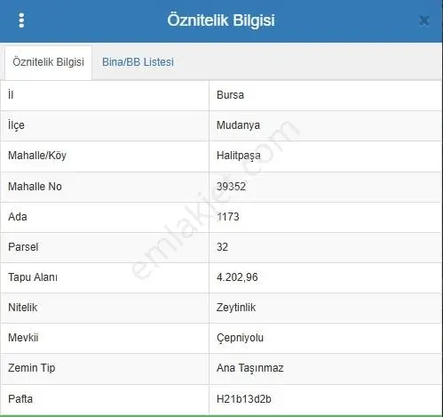 Mudanya Halitpaşa Da Deniz Manzaralı Zeytinlik - Görsel 2
