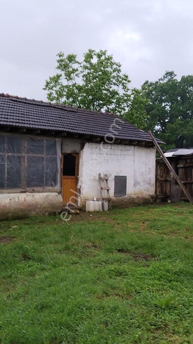 Kiralık Arsa (elektrik Su,ev Ve Bahçe Mevcut) İnegöl - Görsel 13