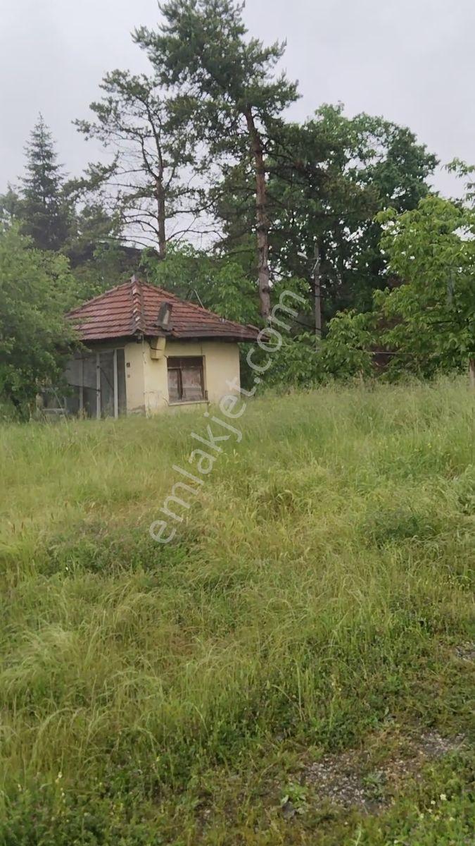Kiralık Arsa (elektrik Su,ev Ve Bahçe Mevcut) İnegöl - Görsel 33