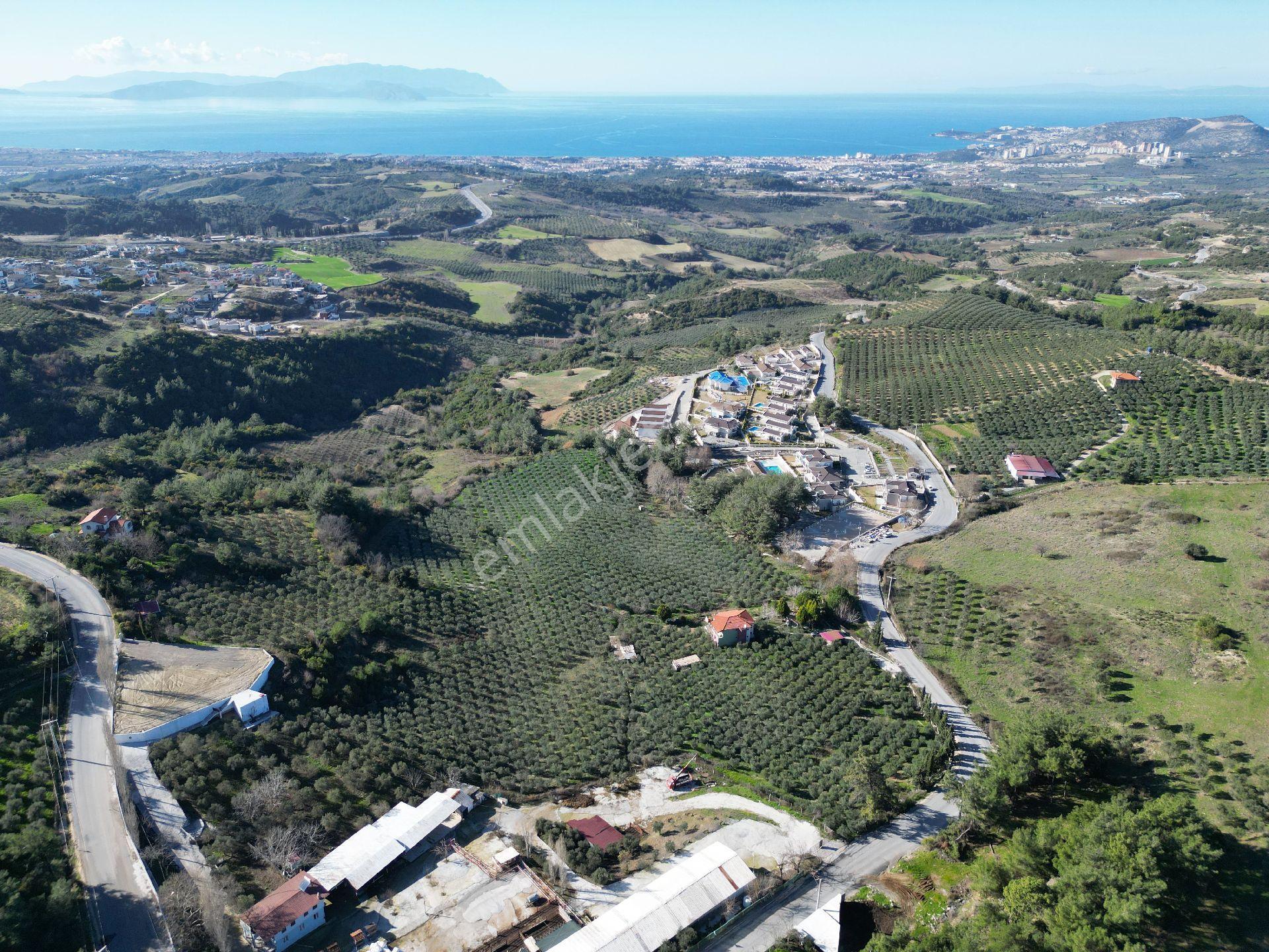 Kuşadası Yaylaköy Mahallesinde Satılık 40 Dönüm Fullbdeniz Manzaralı Yatırıma Uygun Arazi - Görsel 6
