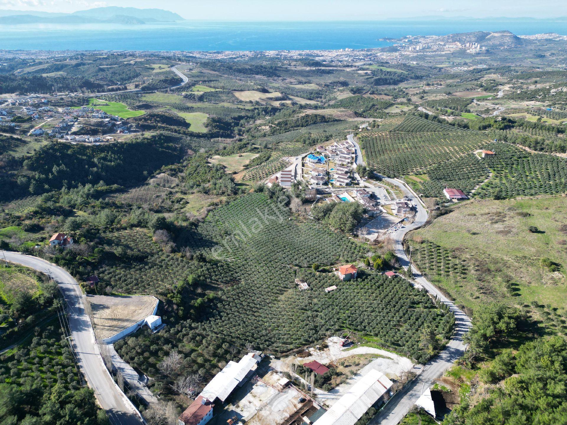 Kuşadası Yaylaköy Mahallesinde Satılık 40 Dönüm Fullbdeniz Manzaralı Yatırıma Uygun Arazi - Görsel 7