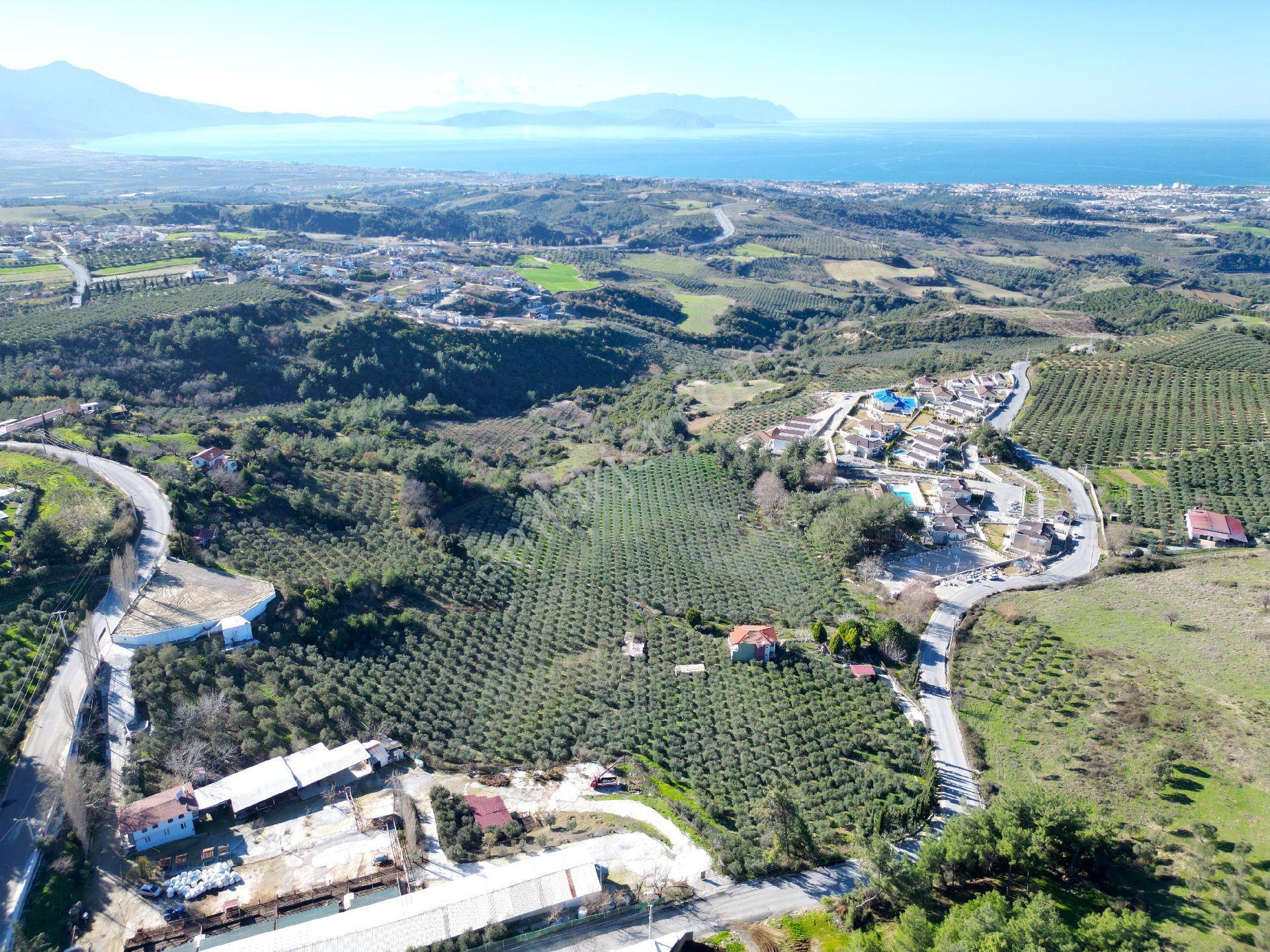 Kuşadası Yaylaköy Mahallesinde Satılık 40 Dönüm Fullbdeniz Manzaralı Yatırıma Uygun Arazi - Görsel 11