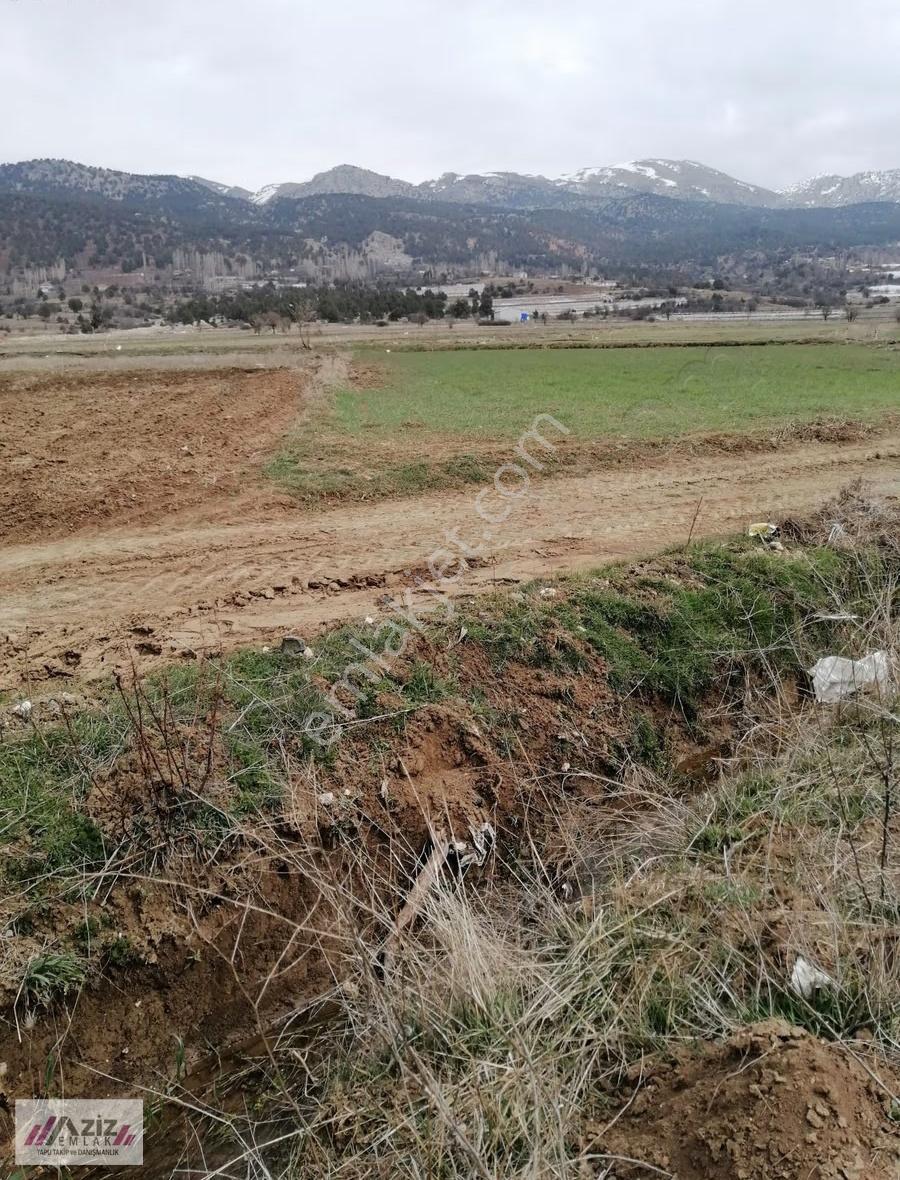 Seydikemer Doğanlar Mah. Satılık Elektrik Abonesi Alınmıştır. - Görsel 28