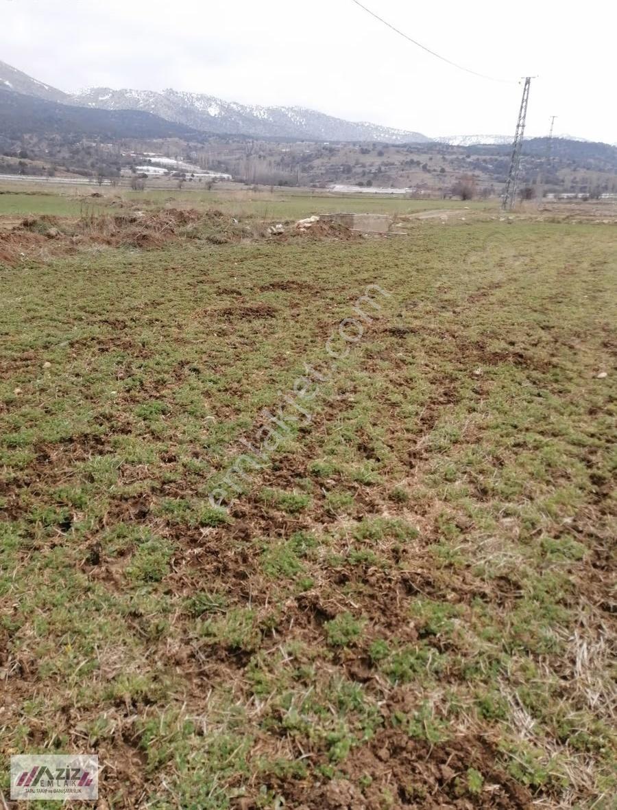 Seydikemer Doğanlar Mah. Satılık Elektrik Abonesi Alınmıştır. - Görsel 12
