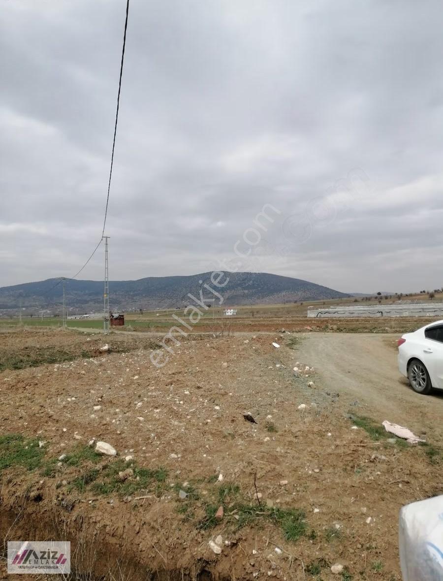 Seydikemer Doğanlar Mah. Satılık Elektrik Abonesi Alınmıştır. - Görsel 29