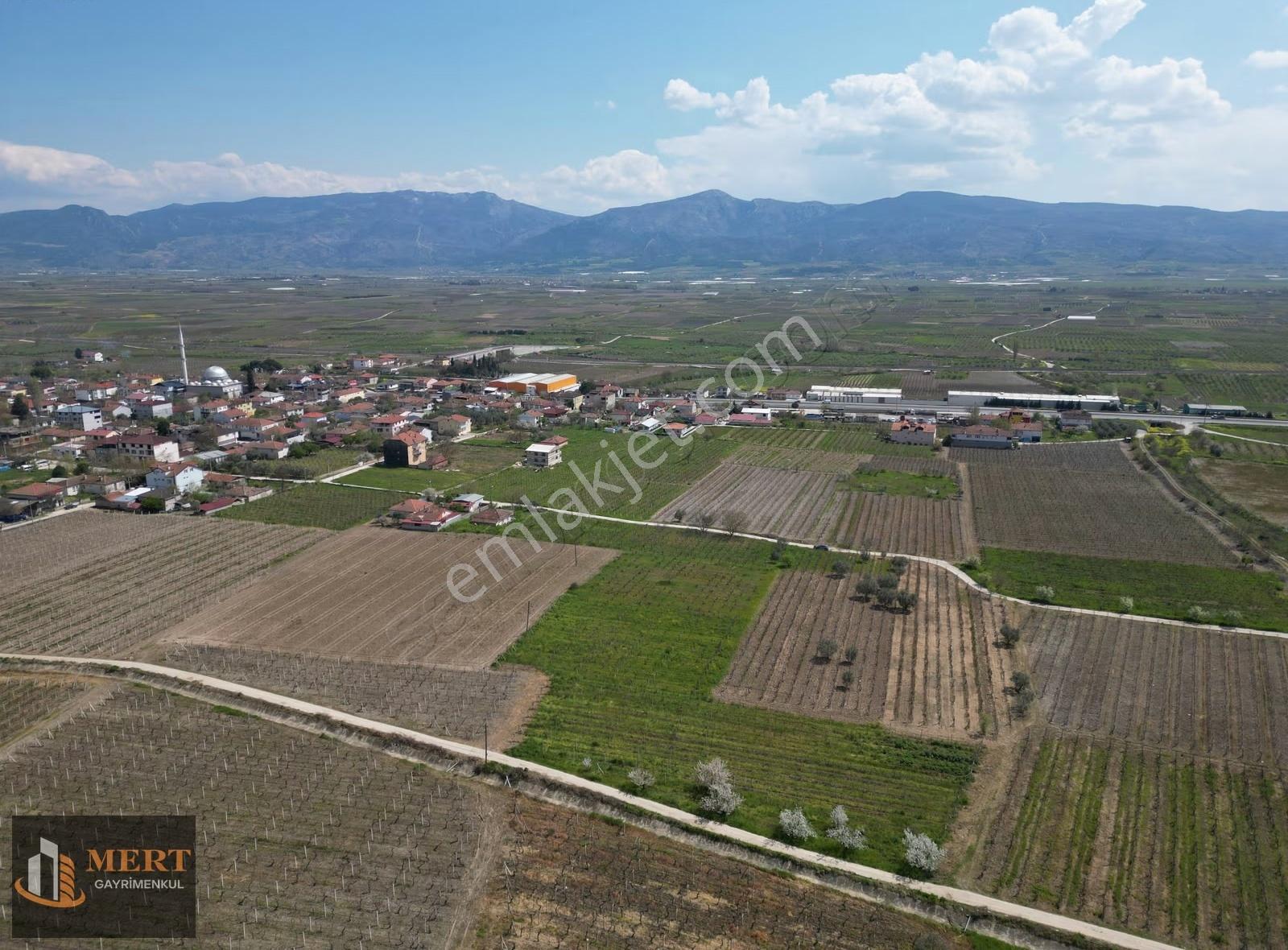 Sakarya Pamukova Bacı Mahallesinde Satılık Üzüm Bağı - Görsel 14