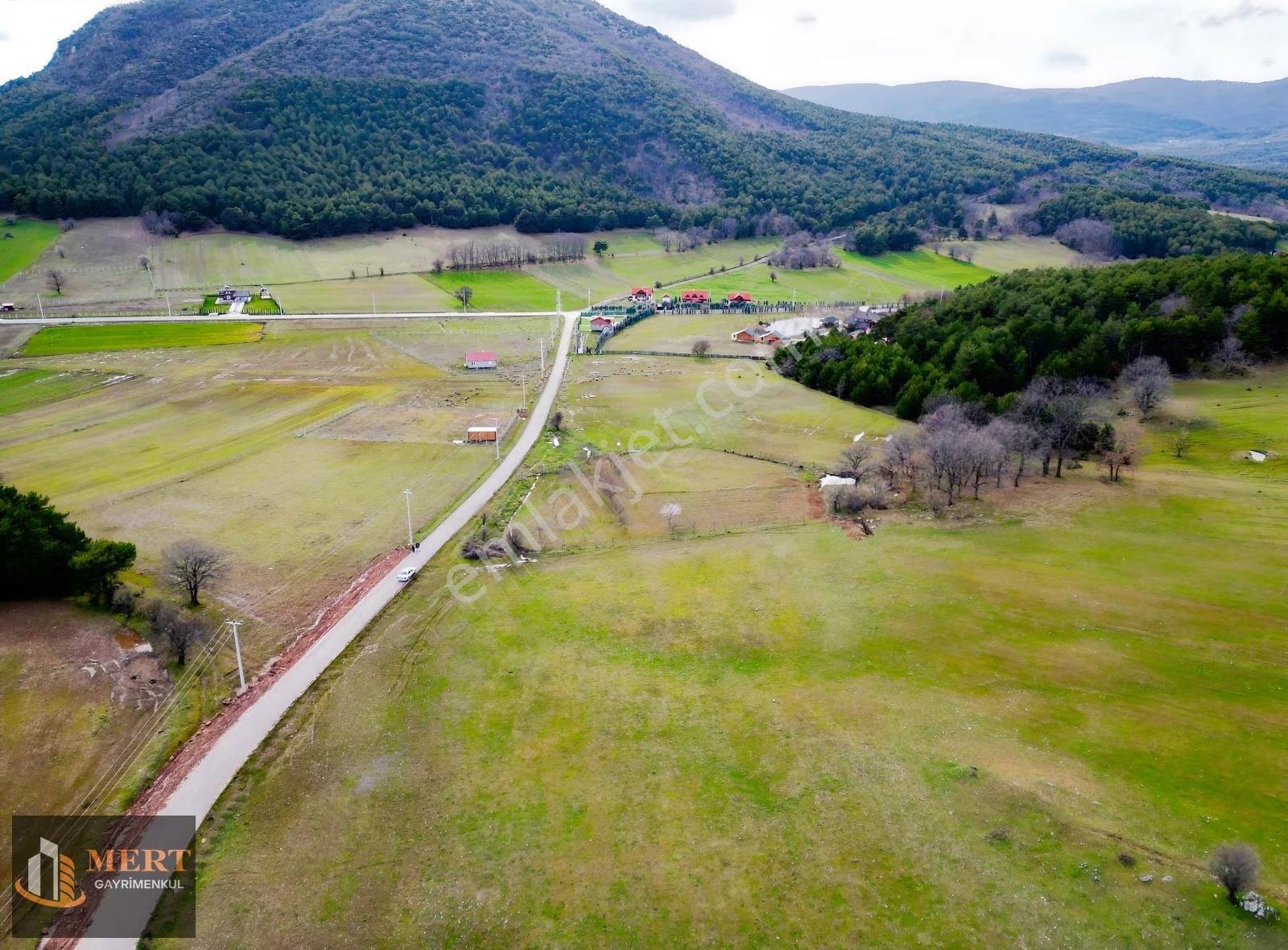 Sakarya Pamukova Akçakayada Satılık Meyve Bahçesi - Görsel 26