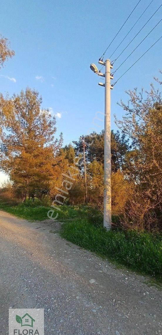 Karabörtlen'de Acil Satılık Fırsat Tarlalar - Görsel 3