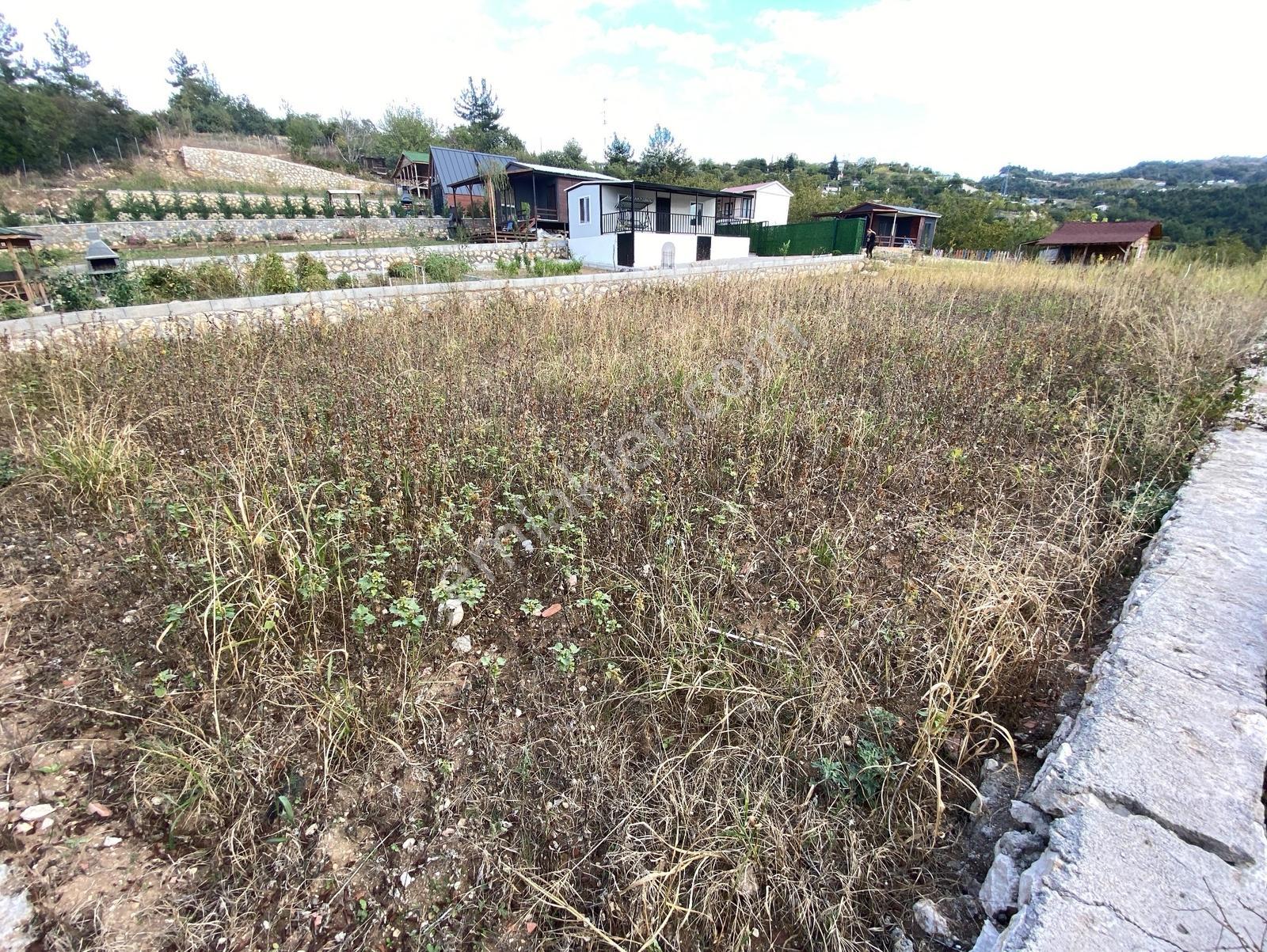 Nilüfer Dağyenice'de Satılık 440m² Arazi - Şehre En Yakın Konum - Görsel 5