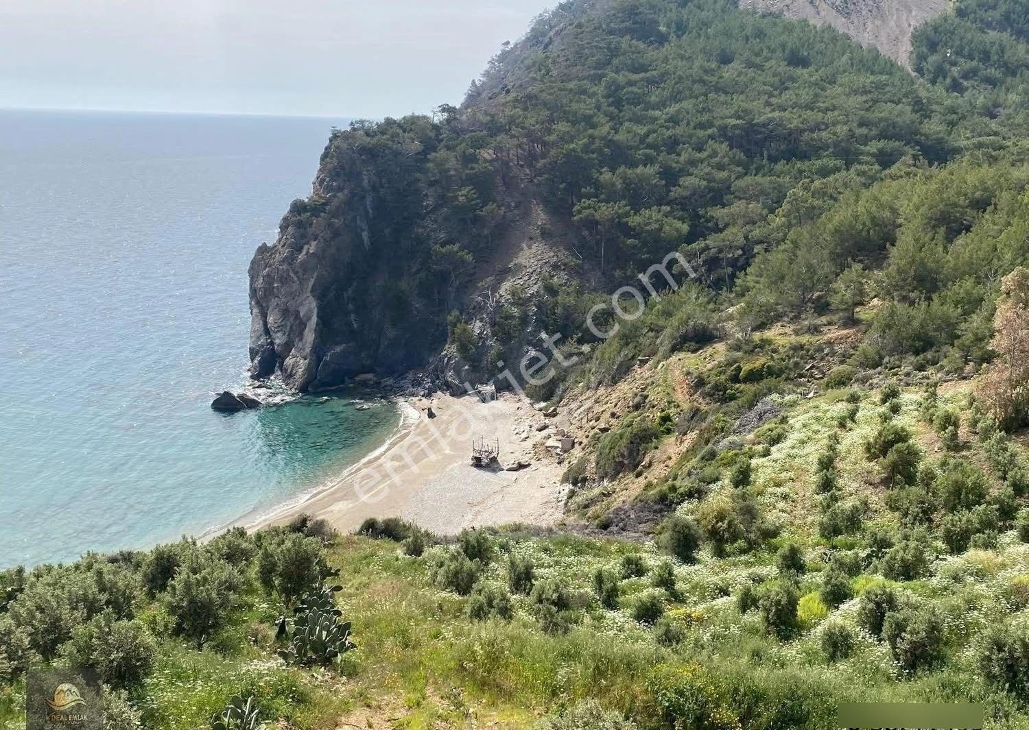 Demirören'de Eşsiz Deniz Manzaralı Satılık Tarla - Görsel 3