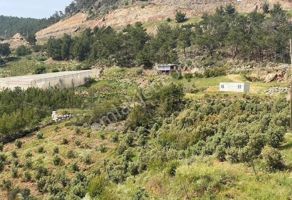 Demirören'de Eşsiz Deniz Manzaralı Satılık Tarla - Görsel 7