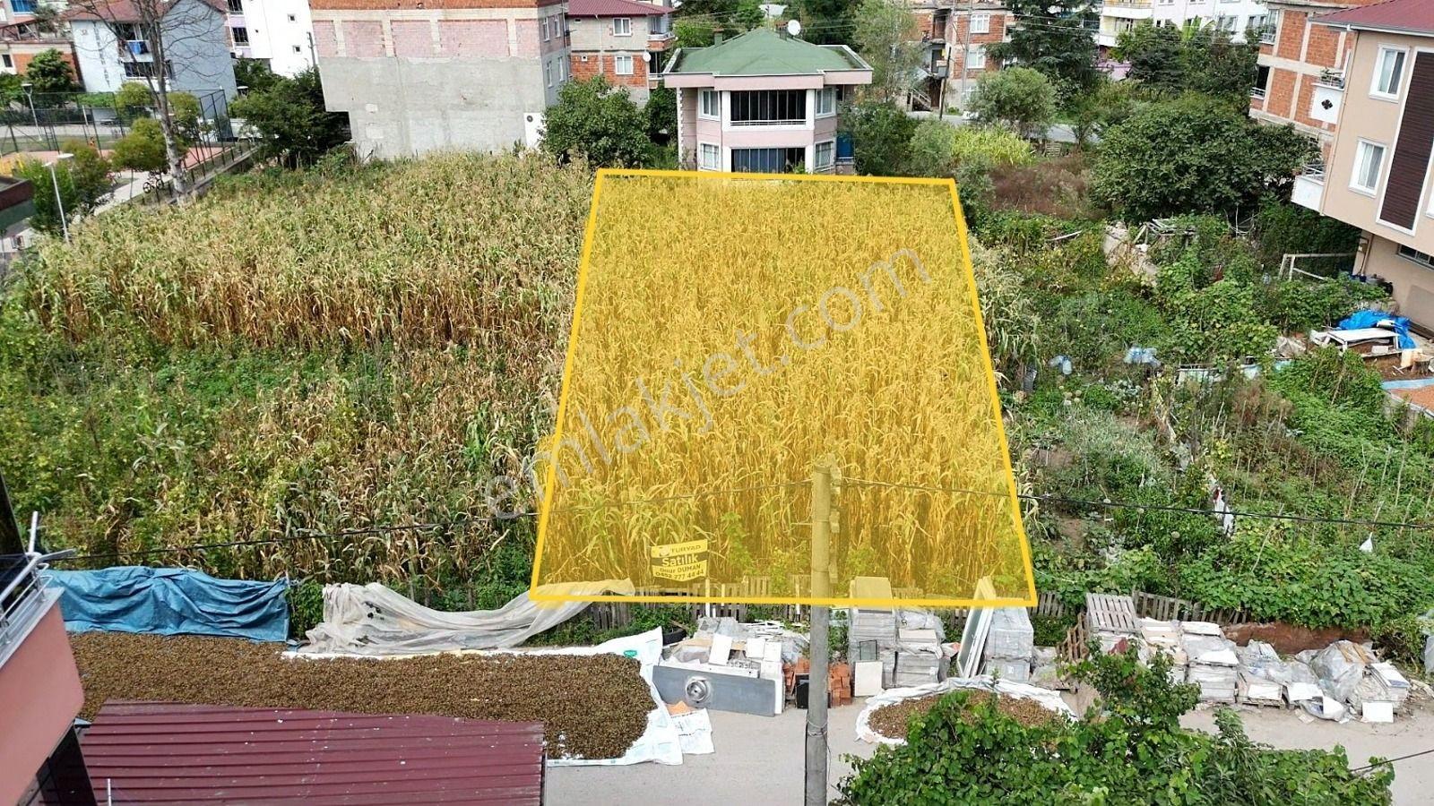 Ordu Merkeze Yakın 351 M2 Satılık Arsa Sakin Yaşam Eskipazar Mah - Görsel 3