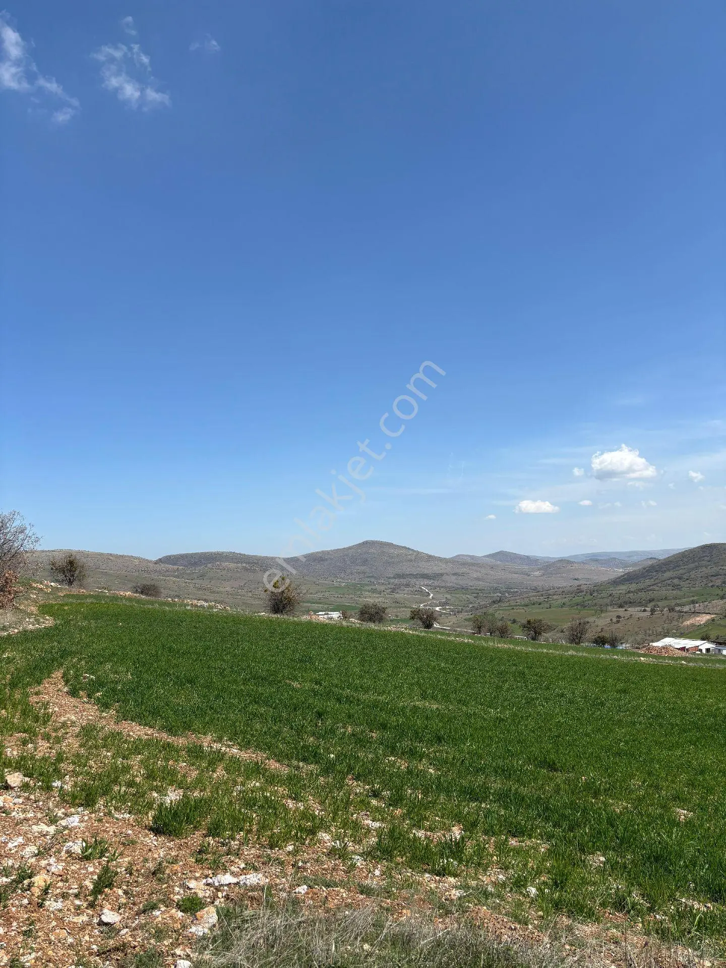 Sahibinden Satılık Tarla