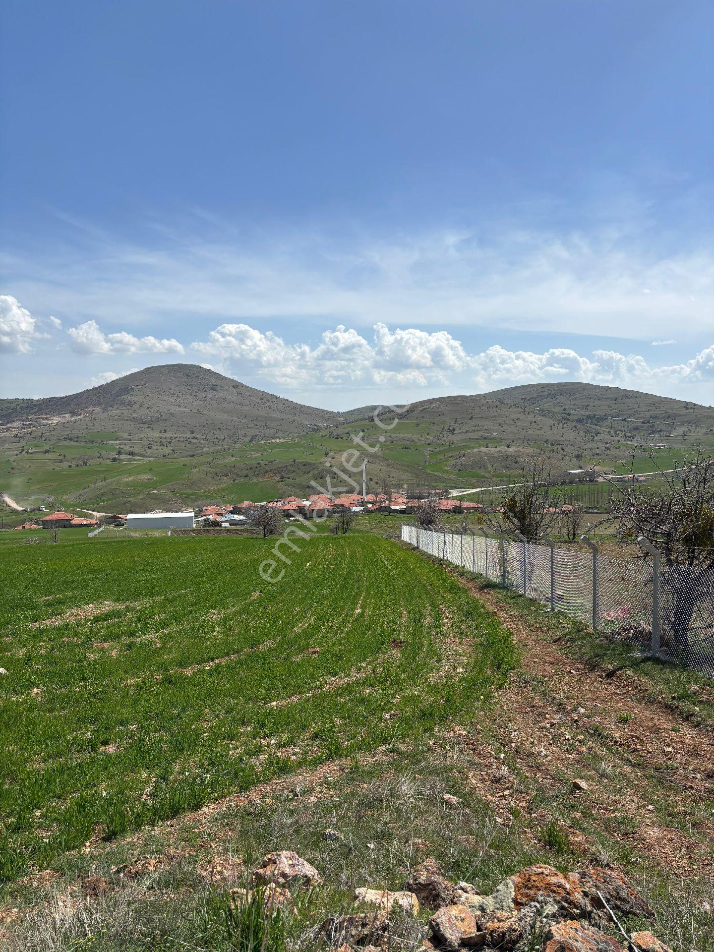 Sahibinden Satılık Tarla - Görsel 2