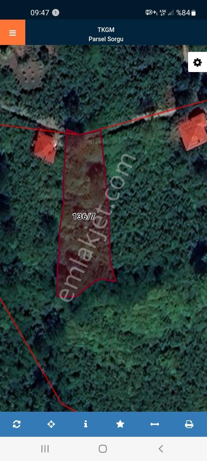 Bulancak Küçüklü Satılık 1.5 Dönüm Deniz Manzaralı Bahçe - Görsel 4