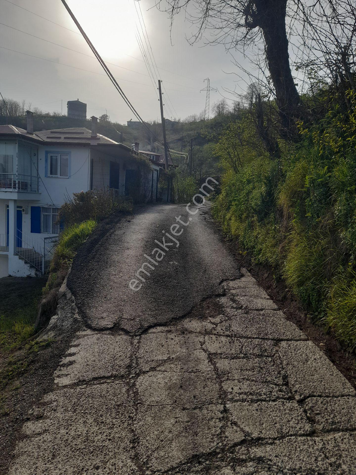 Bulancak Küçüklü Satılık 1.5 Dönüm Deniz Manzaralı Bahçe - Görsel 12
