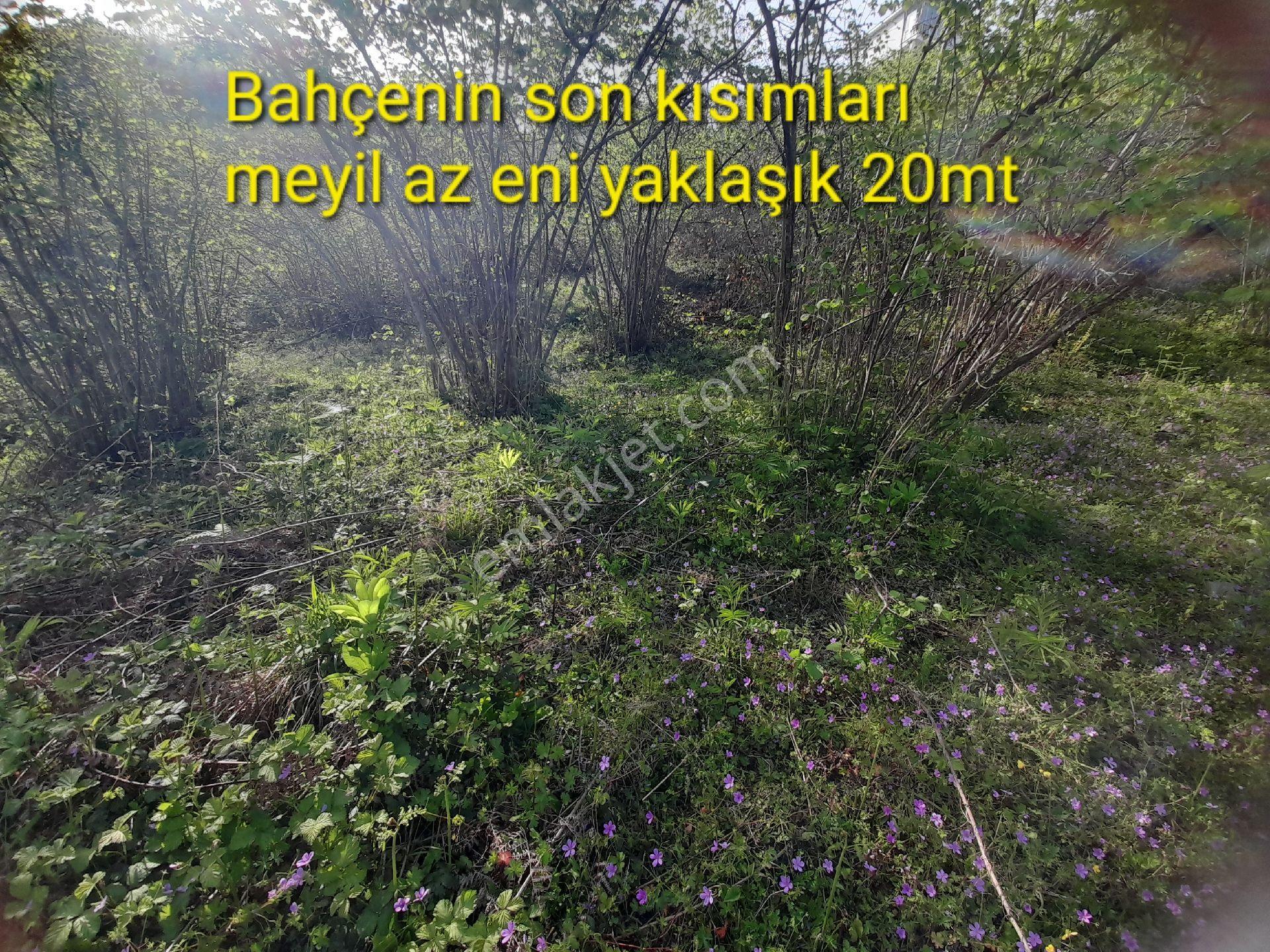 Bulancak Küçüklü Satılık 1.5 Dönüm Deniz Manzaralı Bahçe - Görsel 11
